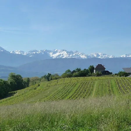 Au Calme - Rez De Jardin